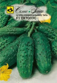 Сорти огірків Октопус F1 / Octopus F1
