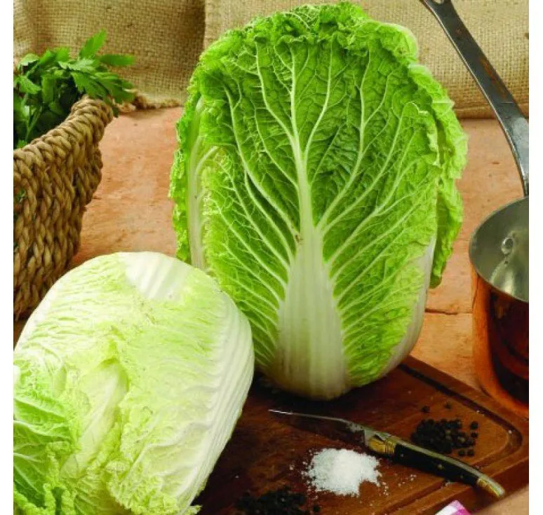 Річі F1 / Richi F1