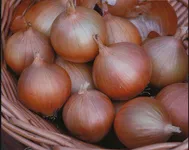 Фото Хай Кіпер