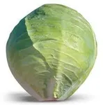 Фото Хітомі F1 / Hitomi F1