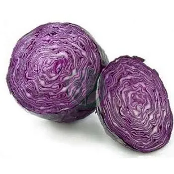 Рексома РЦ F1