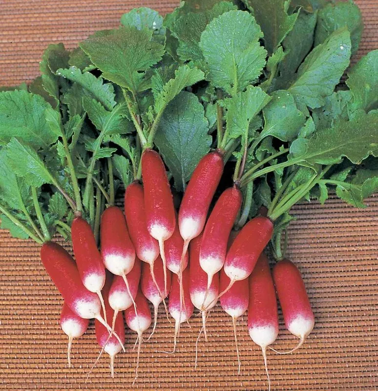 Французський сніданок / French Breakfast