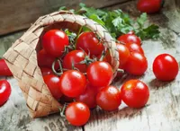 Фото Талісман