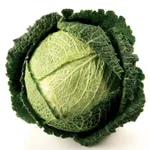 Фото Вертус 2 / Vertus 2