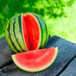 Фото Регус F1