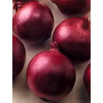 Фото Червоний Цеппелін F1 / Red Zeppelin F1