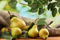 Фото Медова