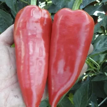 Драки F1 / Draky F1