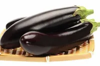 Фото Найт Леді F1 / Nite Lady F1