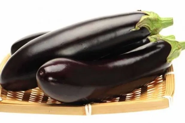 Найт Леді F1 / Nite Lady F1