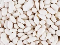 Фото Продаж високоякісної квасолі відбірних сортів