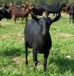 Фото Мурсія-Гранада