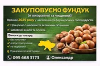 Фото Закуповуємо фундук (в шкаралупі та чищений)