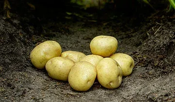 Гермес (Hermes)