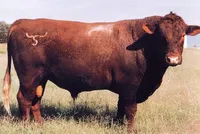 Фото Амеріфакс (Amerifax)