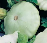 Фото Чебурашка