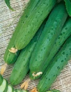 Квітневий F1