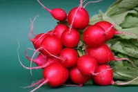 Фото Редис