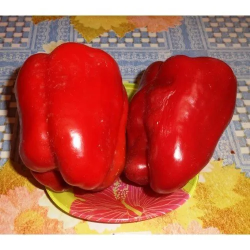 Ожаровський