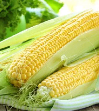 Ерлі Стар / Early Star