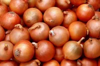 Фото Боско F1 / Bosko F1