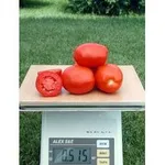 Фото Міссурі Оригінальний / Missouri Original