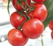 Фото Очаків F1