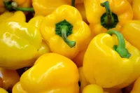 Фото Еспартано F1