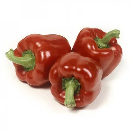 Мазурка РЦ F1 / Mazurka RZ F1