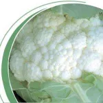 Фото Мехіко F1 / Mexico F1