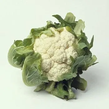 Хельсінки F1 / Helsinki F1