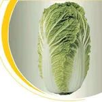 Фото Вітімо F1 / Vitimo F1