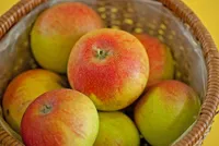 Фото Алкмене