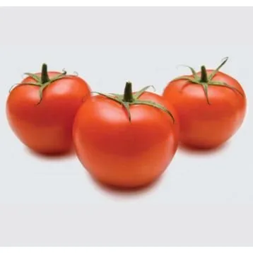 Каліфорнія F1 (INX 1624 F1)