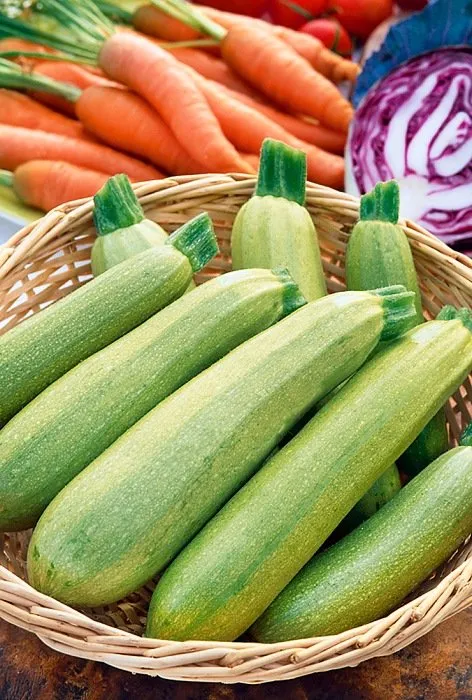 Отто F1 / Otto F1