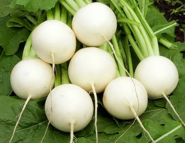 Снігурочка