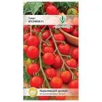 Фото Бусінка F1