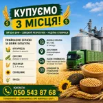 Фото Купуємо зернові та олійні культури