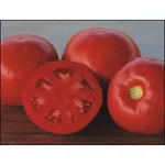 Фото Посадас F1 / Posadas F1