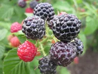 Фото Поворот