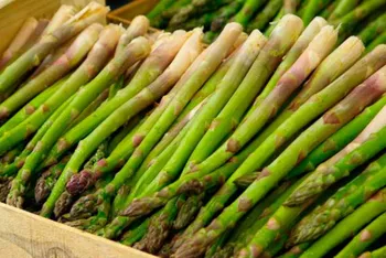 Статті користувачів Все про спаржу