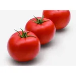 Фото Ейфорія F1 / Euforia F1