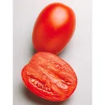 Фото Гваделетте 312 F1 / Guadelette 312 F1