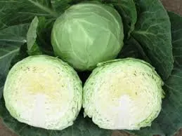 Анадоль F1 / Anadol F1