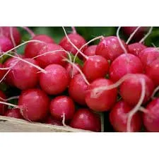 Анабель F1 / Annabel F1