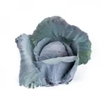 Фото Редма РЦ F1 / Redma RZ F1