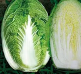 Фото Юкі F1 / Yuki F1