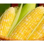 Фото Іннагуа