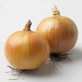 Сорти цибулі Дакапо F1 / Dacapo F1