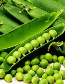 Сорти гороху Драгон / Dragon